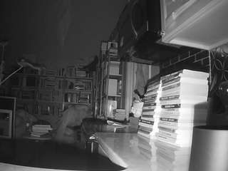 voyeurcam bridgetleewalters 02